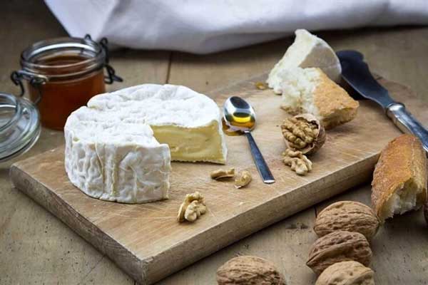 مصرف زیاد پنیر باعث فرسودگی بدن می‌شود