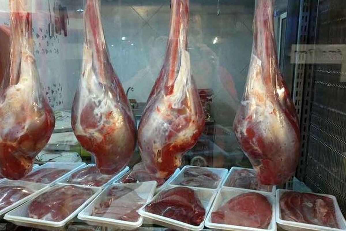 قیمت گوشت شتر