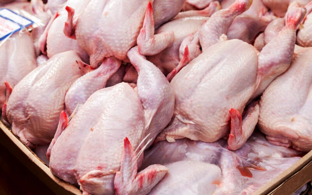 قیمت مرغ به ۷۶ هزار تومان کاهش یافت