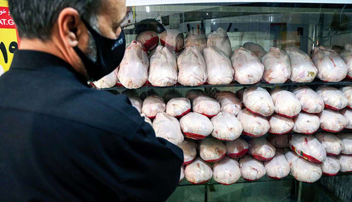 تولیدکنندگان: تولید مرغ به‌صرفه نیست | احتمال افزایش قیمت مرف