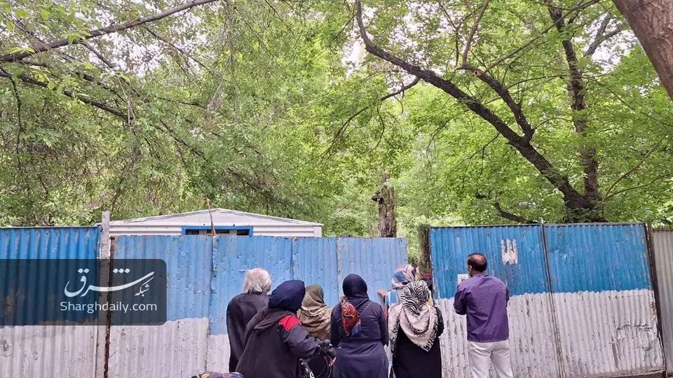 چمران: درختی در پارک لاله قطع نخواهد شد