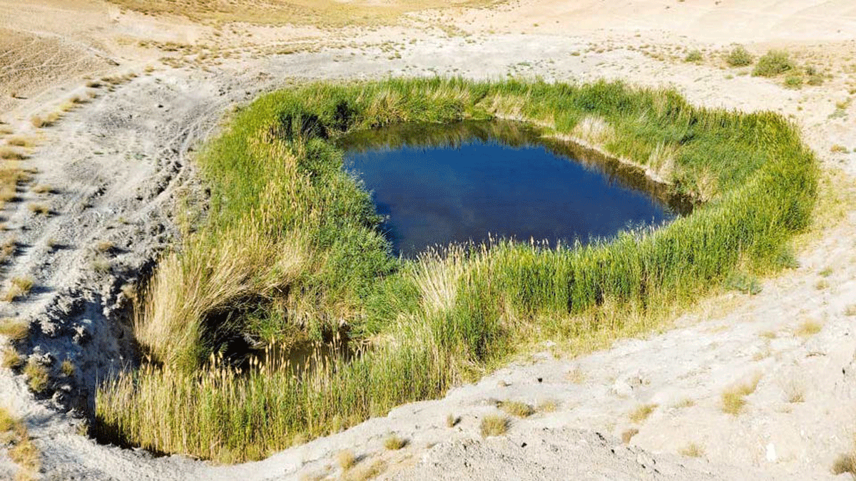 اخطار جدی فعالان محیط زیست درباره وضعیت تالاب سی‌سر نیشابور