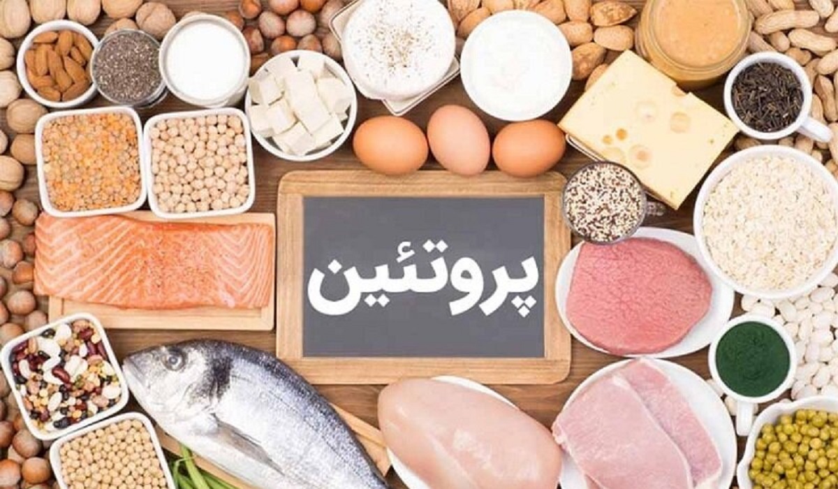 برای کاهش وزن کدام پروتئین مناسب است ؛ حیوانی یا گیاهی ؟