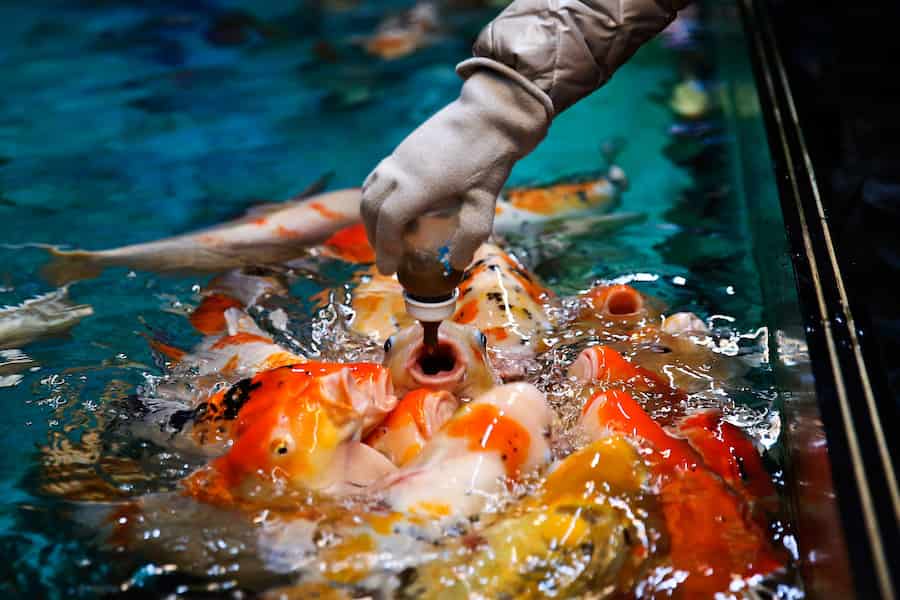 جاهای دیدنی قشم