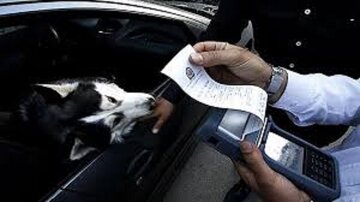 سگ‌گردانی با خودرو در تهران ممنوع است