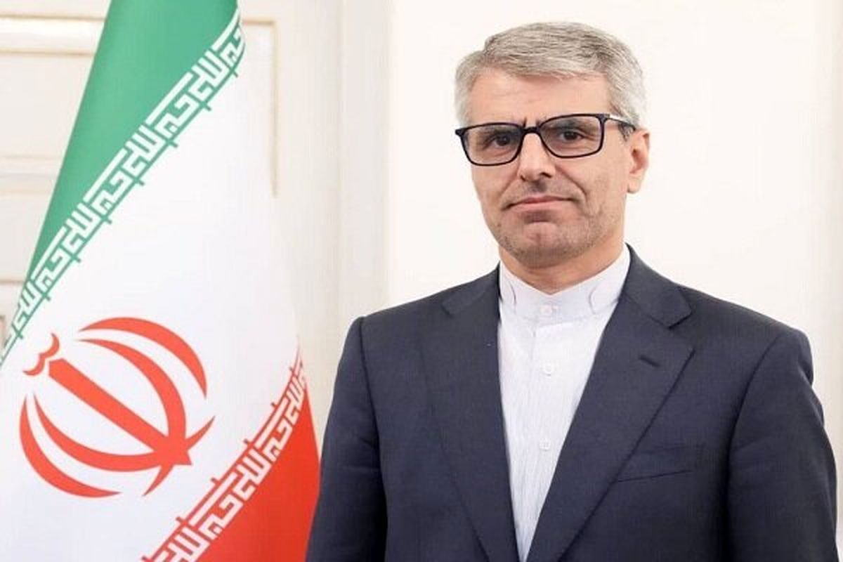 پیام بقایی به مدیرکل آژانس: شما خیانت کردید