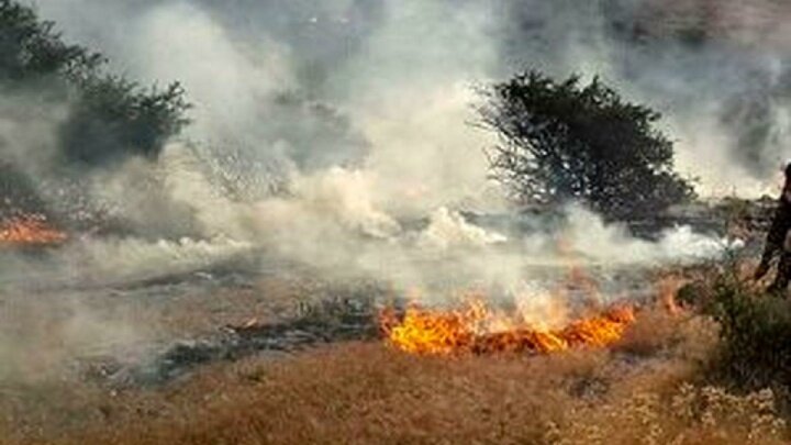 اعزام ارتش، سپاه و آتش‌نشانان برای مهار آتش‌سوزی‌ جنگل ابر