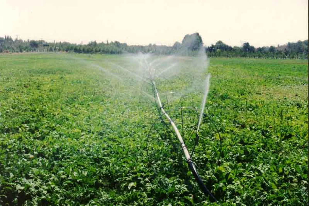 قطعی برق چاه‌های کشاورزی به ۷ ساعت در روز رسید