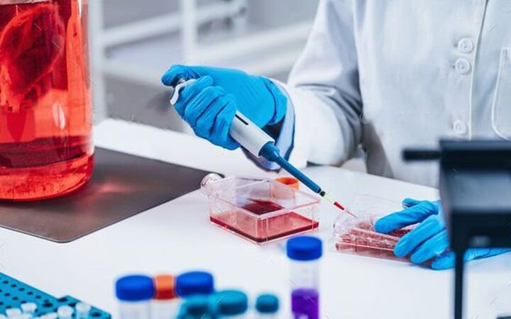 ایران به دستاورد مهمی در سلول‌درمانی رسید؛ درمان ۳ سرطان با ویروس!