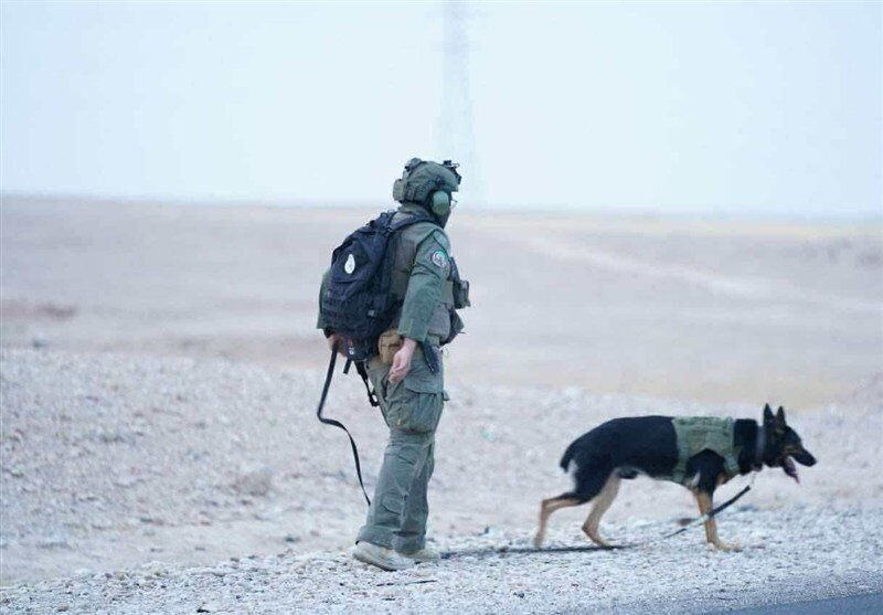 فوری/ الحشدالشعبی آماده‌ باش شد