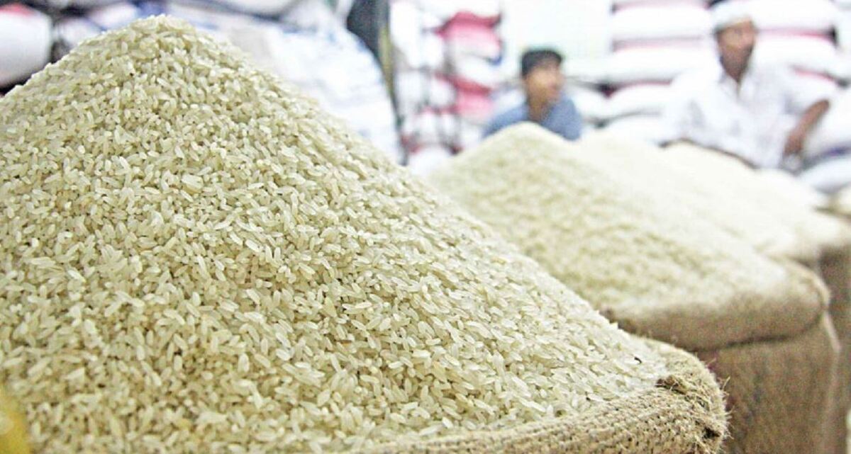 برنج رسما گران شد؛ قیمت برنج در مرداد ۱۴۰۴