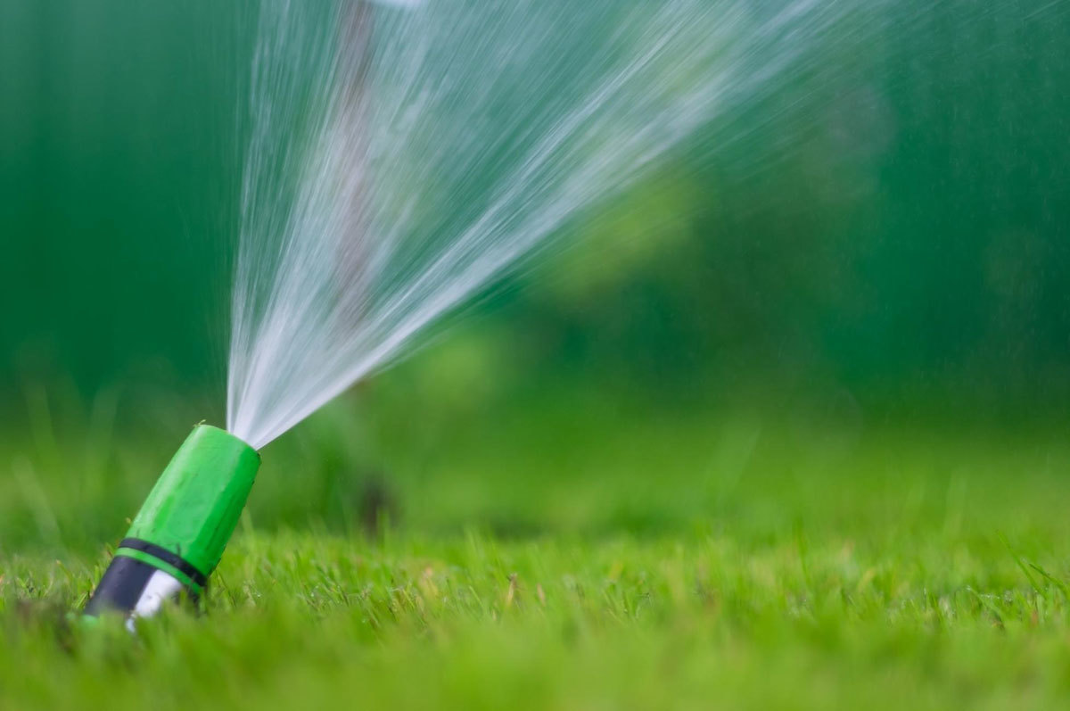 حضور در فضاهای سبز باعث رشد بهتر مغز کودکان می‌شود