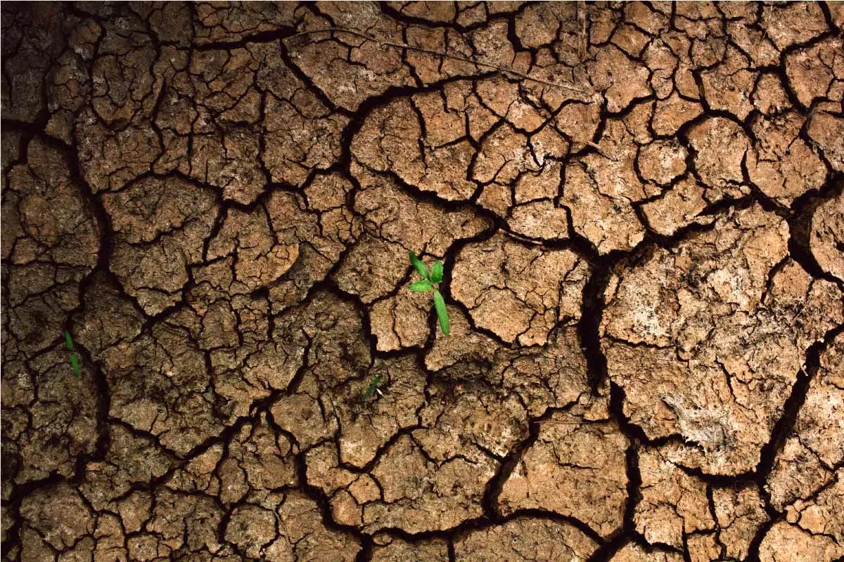 ماجرای استفاده از آب مجازی برای کشاورزی چیست؟