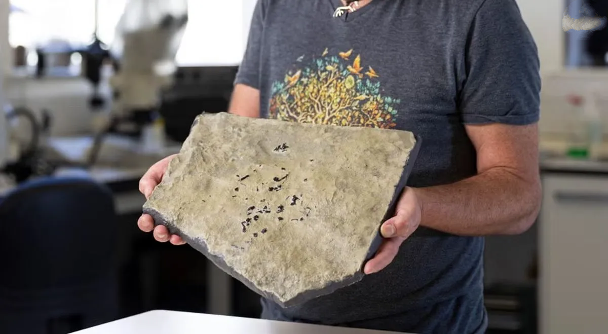 کشف فسیل جانوری که احتمالا جد بزرگ مارها بوده است