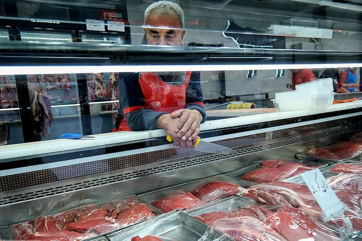 گوشت وارداتی با قیمت زیر ۷۰۰ هزار تومان روانه بازار شد