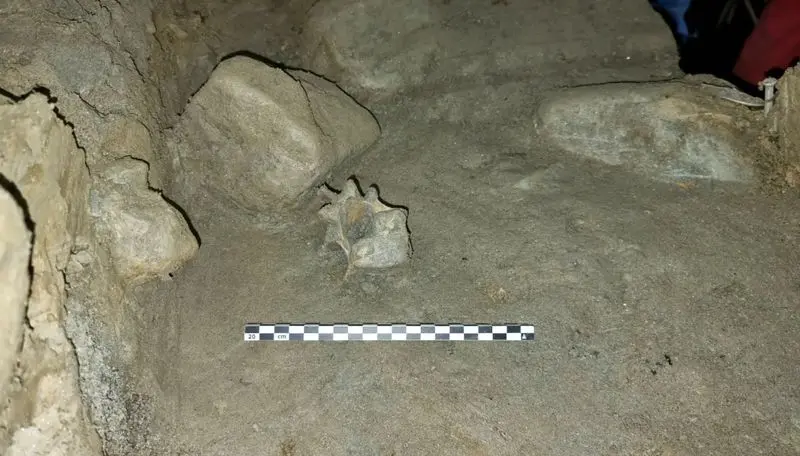 ۴۶ حیوان عصر یخبندان در غار شمال نروژ کشف شد!