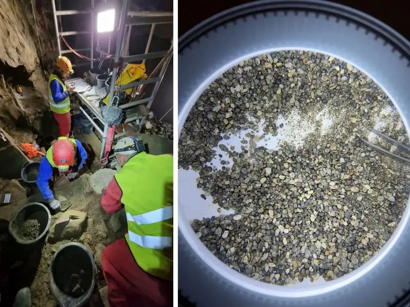 ۴۶ حیوان عصر یخبندان در غار شمال نروژ کشف شد!