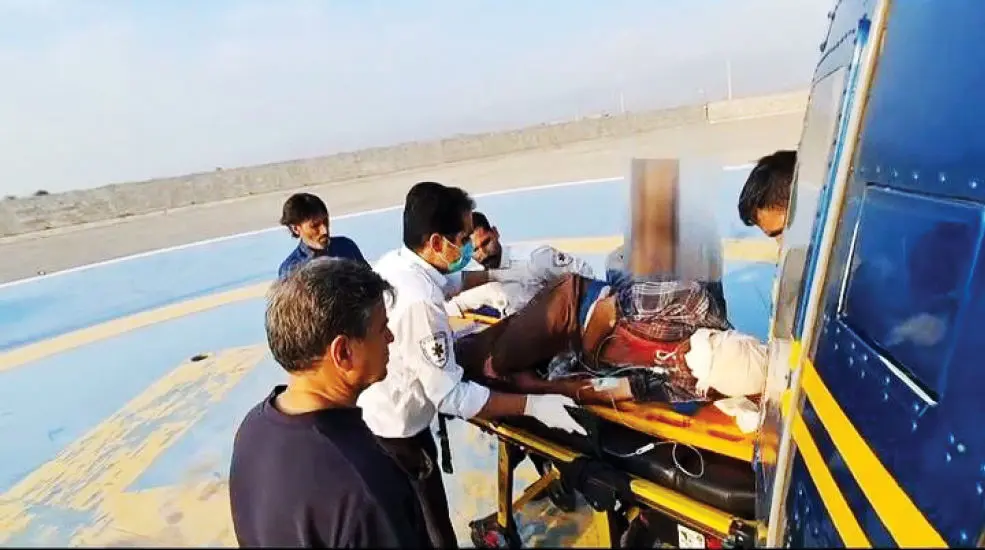 نجات معجزه‌آسای چوپان از حمله خرس سیاه