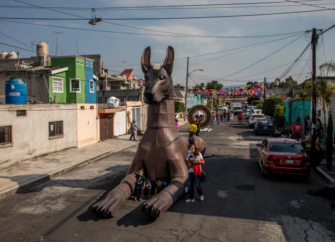 کدام حیوانات نماد مرگ و حیات بعد از مرگ هستند؟