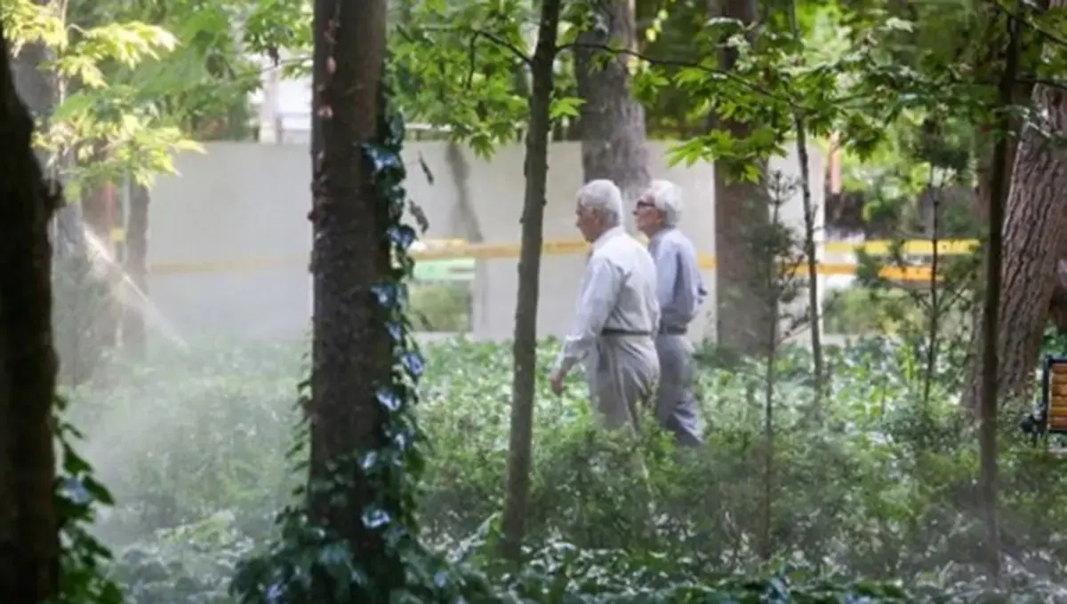 خبر خوش برای بازنشستگان راننده؛ مستمری و فعالیت در تاکسی اینترنتی با طرح جدید مجلس قطع نمیشود