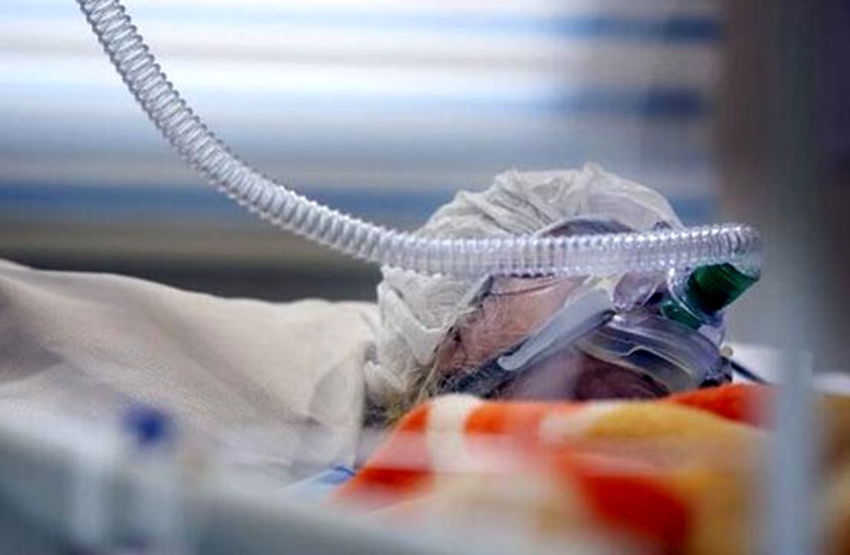 انجمن اهدای عضو ایران: مردم هنوز مرگ مغزی را نمی‌شناسند