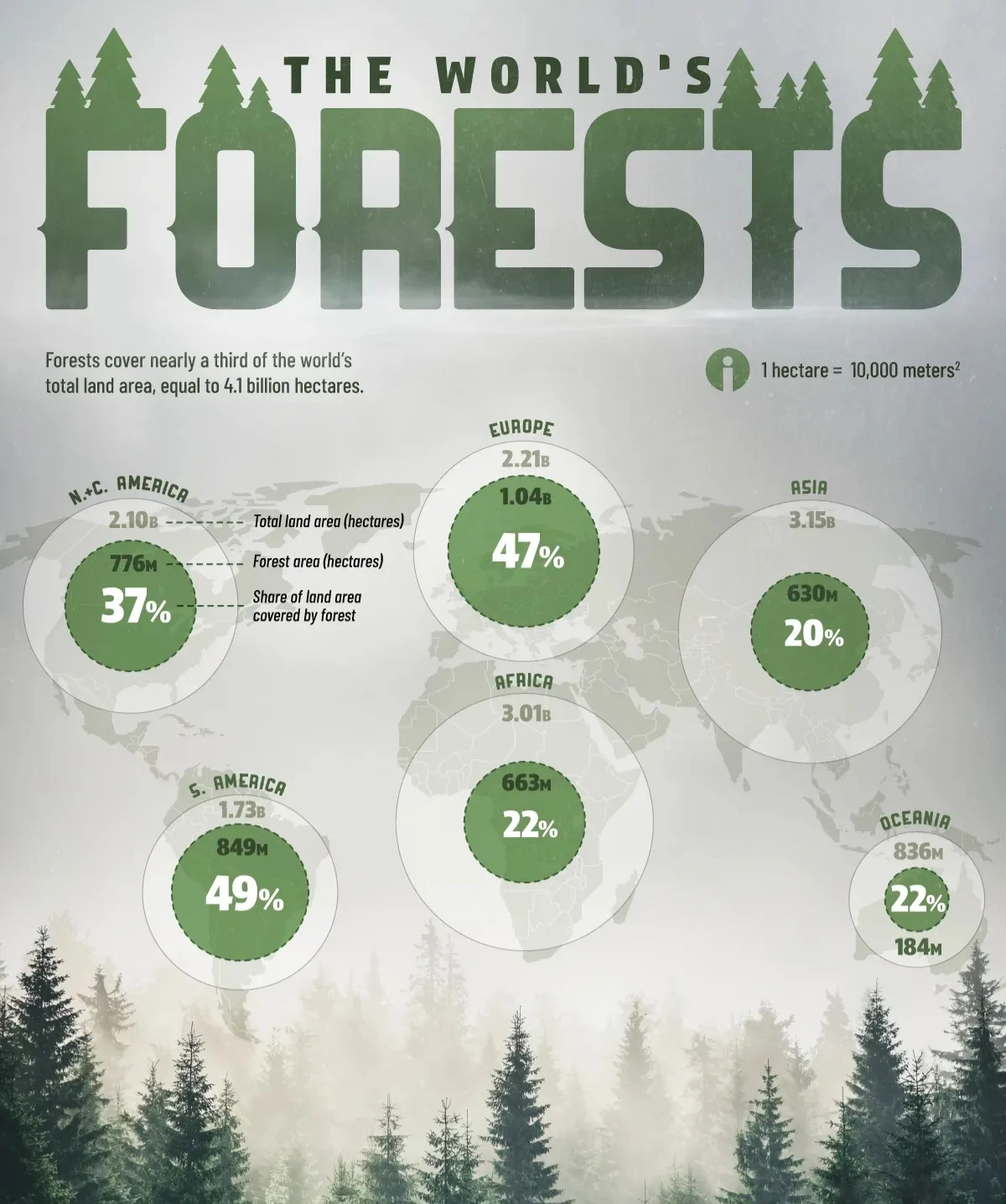 کدام مناطق بیشترین و کمترین پوشش جنگلی را دارند؟ + اینفوگرافی