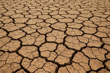 ۱۰۰ درصد مساحت استان چهارمحال و بختیاری در وضعیت خشکسالی