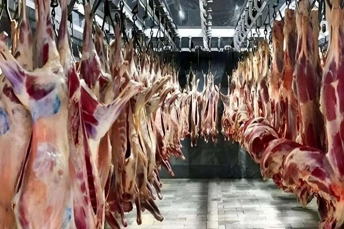 قیمت گوشت قرمز امروز شنبه ۱۵ آذر ۱۴۰۴