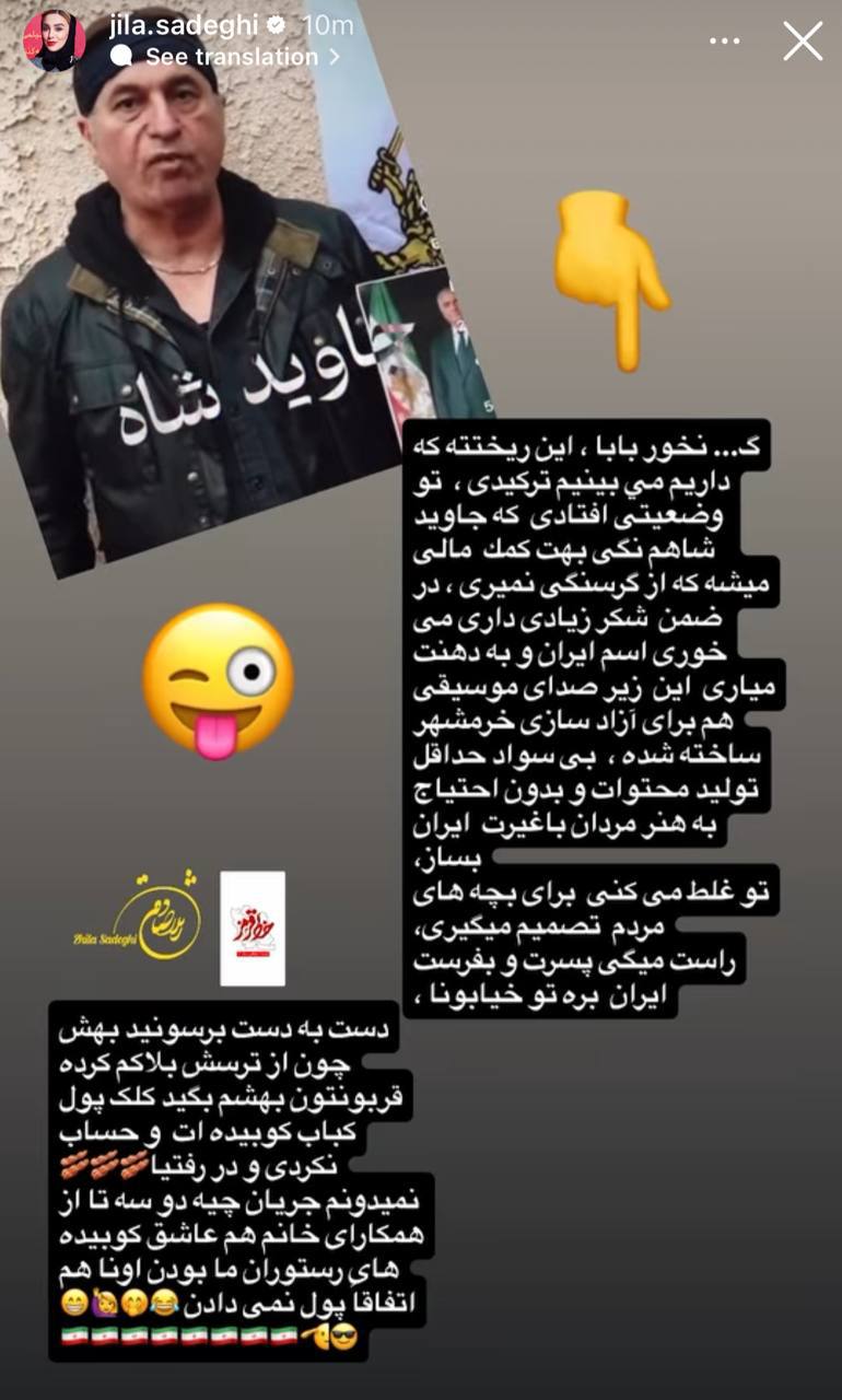 استوری تند ژیلا صادقی علیه حمید فرخنژاد