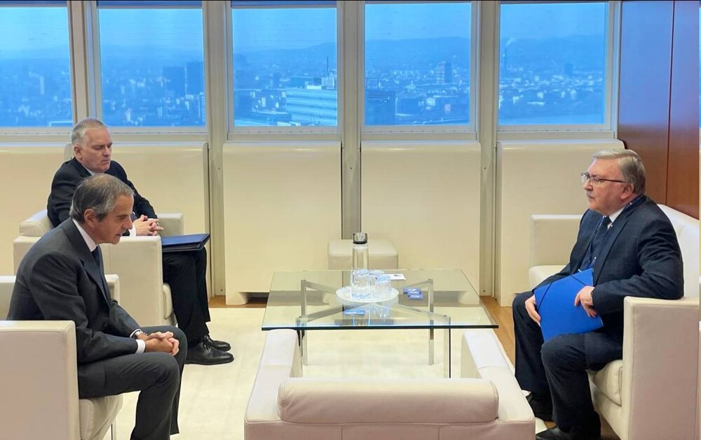 دیدار نماینده روسیه در آژانس با گروسی درباره ایران و اوکراین