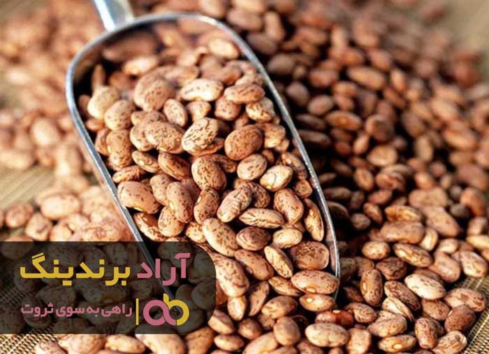 بدون داشتن مهارت و تخصص به ثروت رسیدم