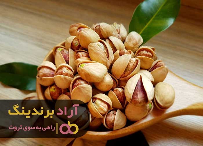پسته اکبری انس 20