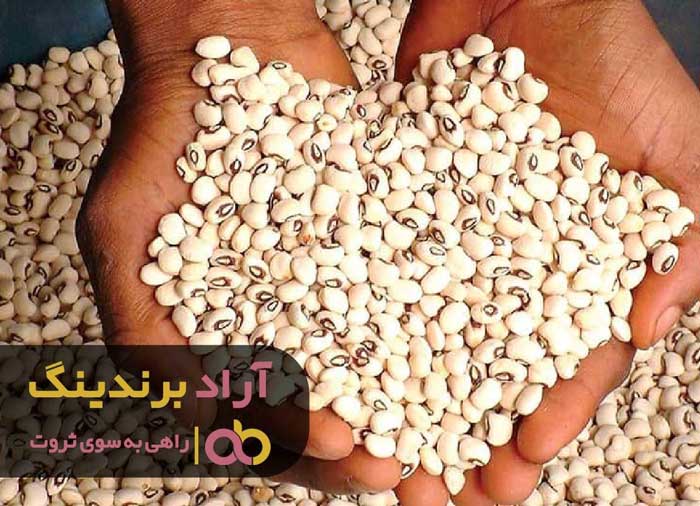 لوبیا چشم بلبلی در خوزستان