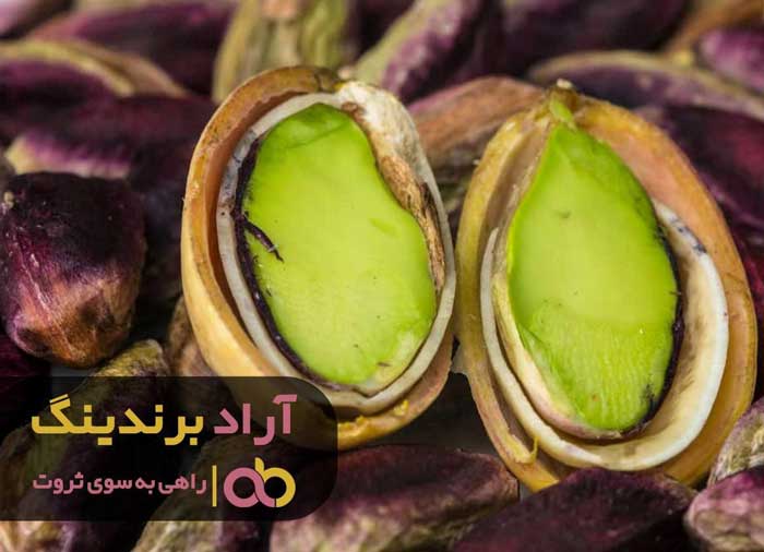 خلاقانه فکر کردم و سرنوشتم عوض شد