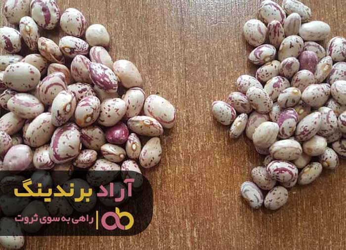 لوبیا چیتی عمده