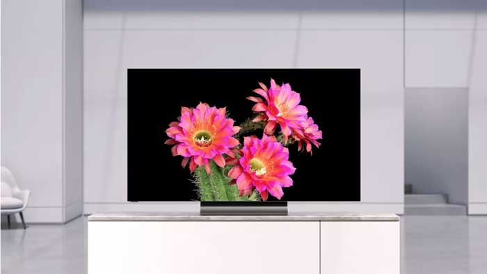Vizio H-1 OLED TV