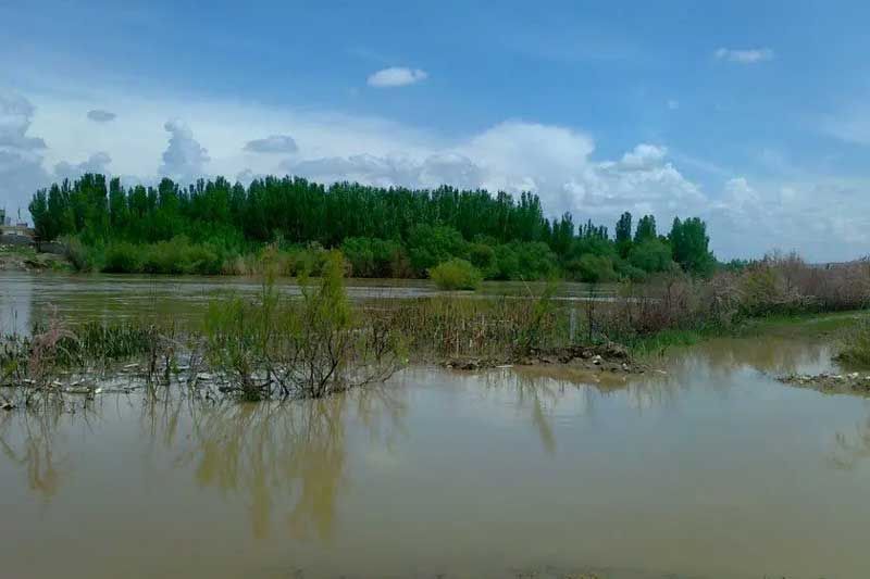 زرینه رود