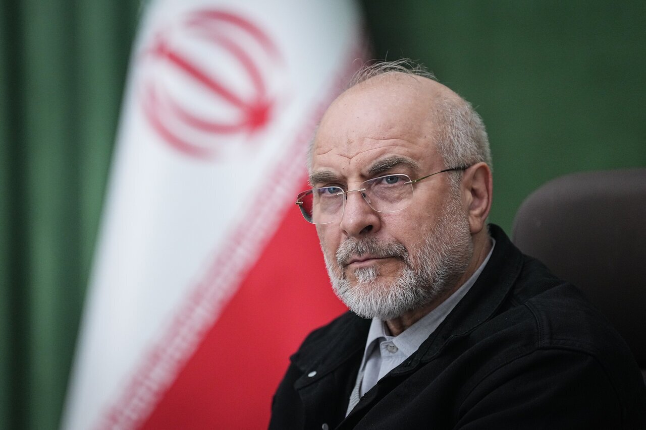 جزئیات آئین‌نامه کشت کنترل‌شده شقایق الیفرا اعلام شد/ اجرای طرح با ...