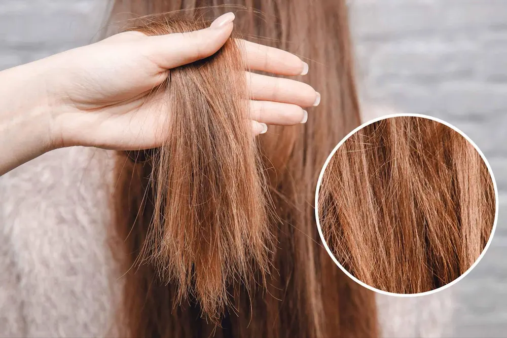 چگونه موهای آسیب‌دیده را ترمیم کنیم؟